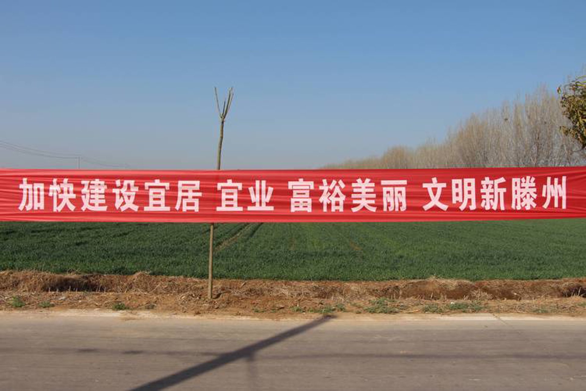 永红苗圃基地